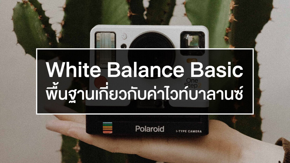 180 บทความพื้นฐานถ่ายภาพสำหรับมือใหม่